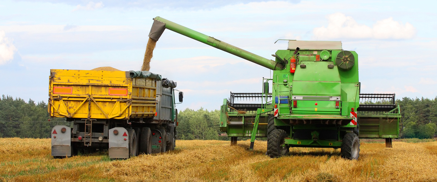 استقرار أسعار السلع بعد مكاسب أوائل عام 2021، بدعم من الانتعاش الاقتصادي العالمي