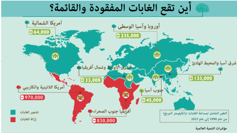 للتربه الغابه اي في العبارات افضل وصف تعطي أي من