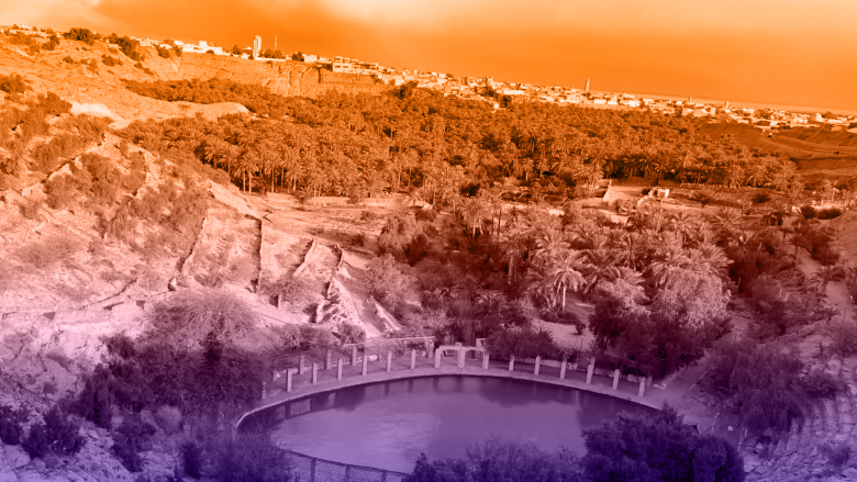 تعزيز مرونة الواحات والسكان في تونس. النتائج التي تغير الحياة © البنك الدولي
