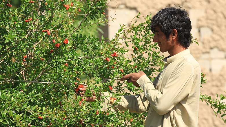 استخدام الموارد على نحو إستراتيجي